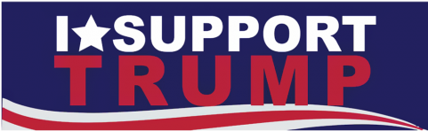 I Support Trumb - Trump Filter Facebook (480x480), Png Download