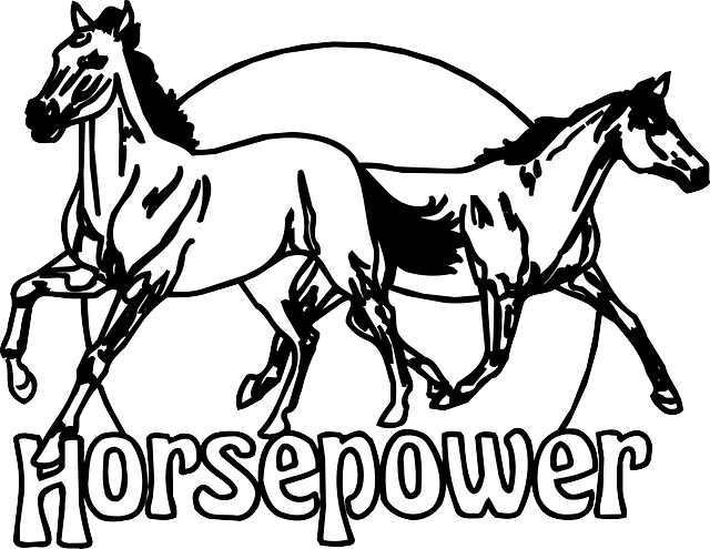 Horsepower Animals, Sign, Circle, Running, Horses, - Horsepower Clipart (640x495), Png Download