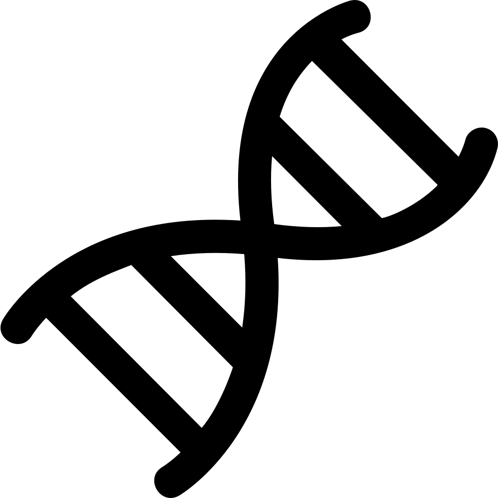 Dna Chromosome Comments - Dna Double Helix Icon (981x980), Png Download
