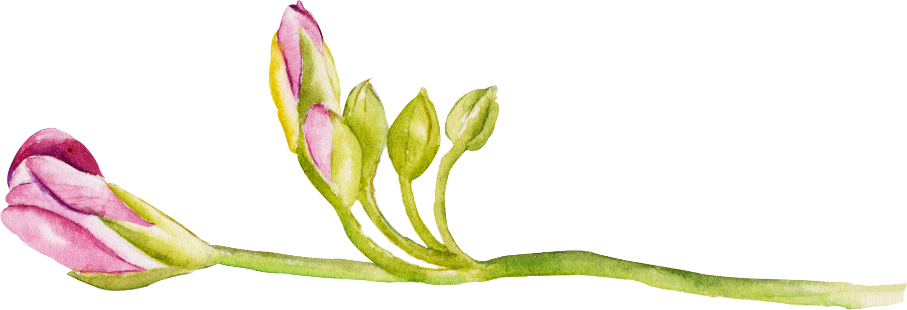 Watercolour - Portable Network Graphics (1821x623), Png Download