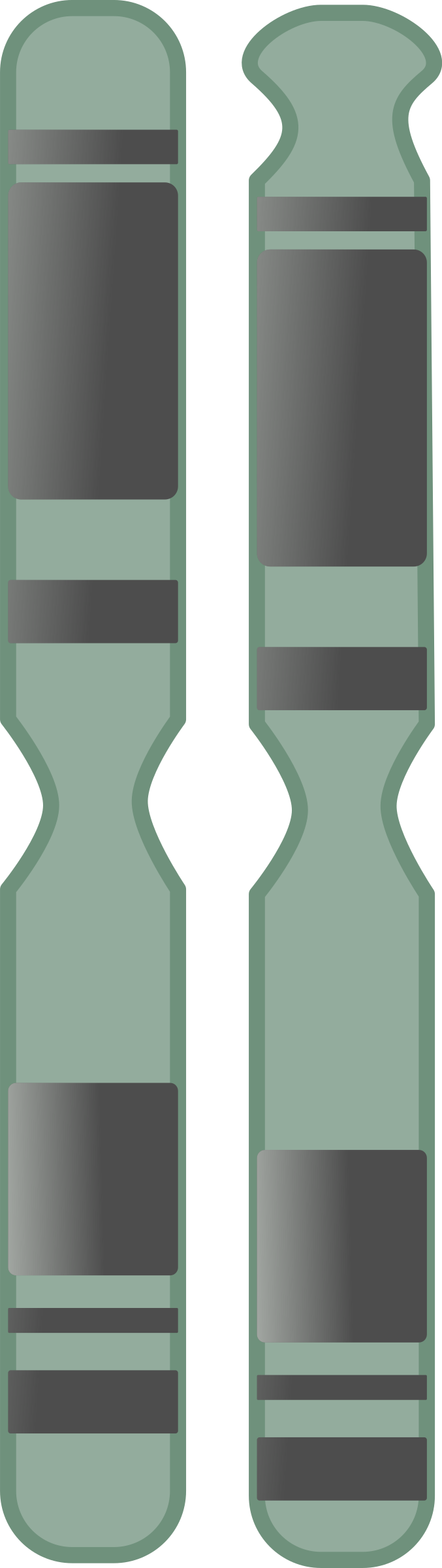 Chromosome Png (677x2400), Png Download