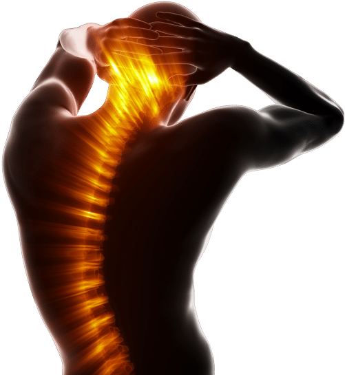 Back Pain Spine - Spine Glow (600x600), Png Download