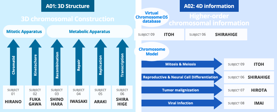 Chromosome Os - Web Page (940x380), Png Download