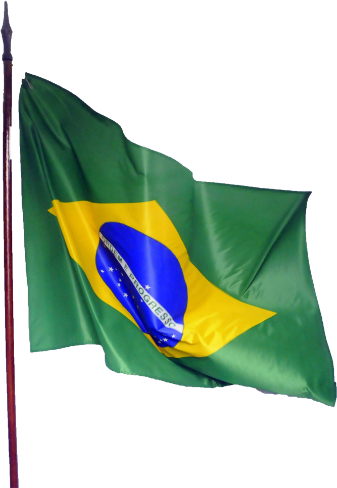 Passe O Mouse Sobre A Imagem Para Ver Detalhes - Brazil (738x1000), Png Download
