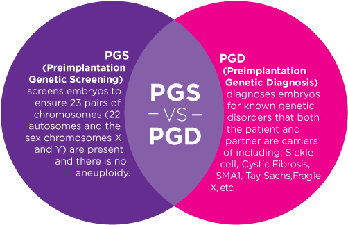 Pgs Vs Pgd Fertility Center Nyc - Pgd And Pgs (515x350), Png Download