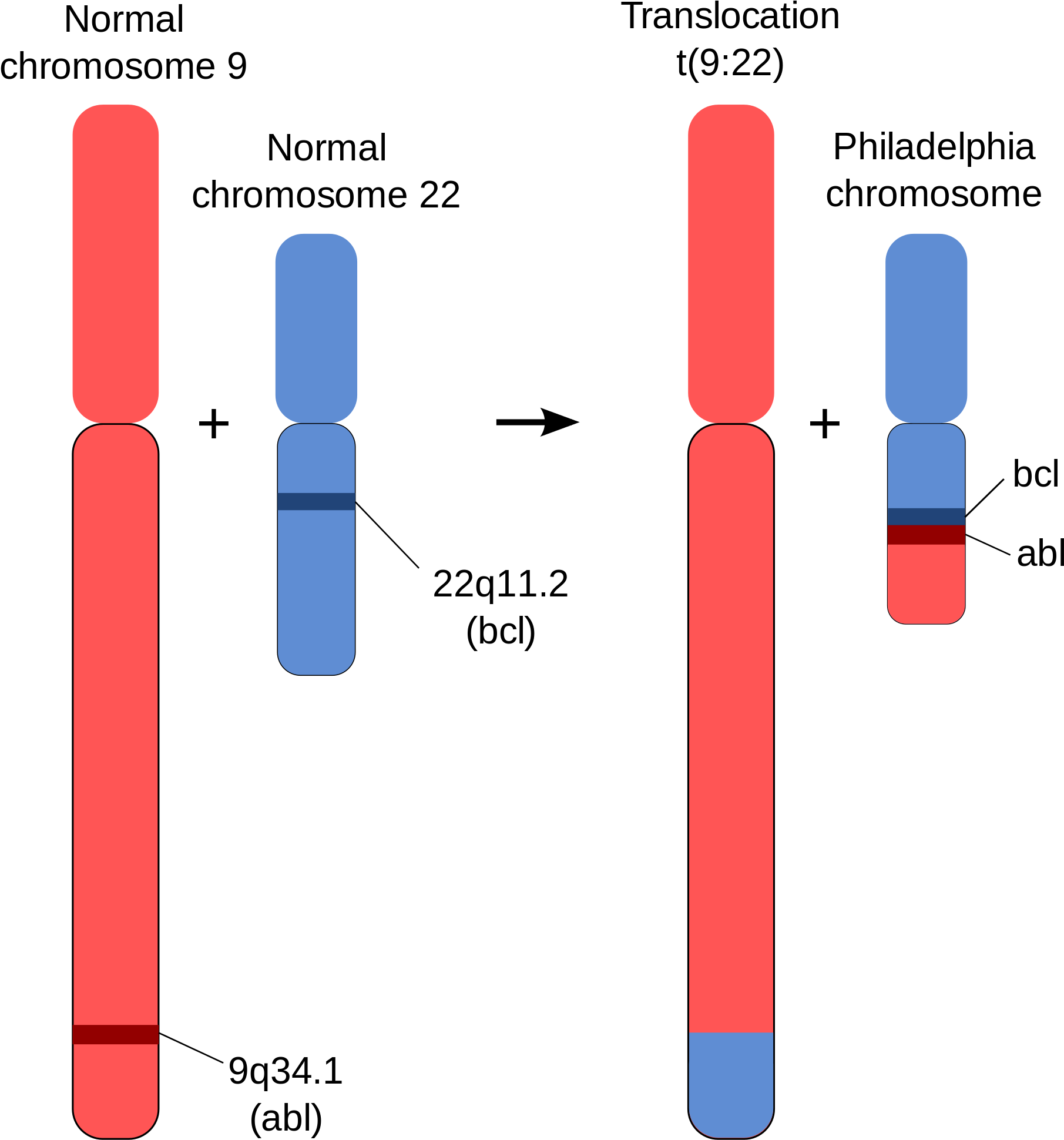 Open - Philadelphia Chromosome (2000x2205), Png Download