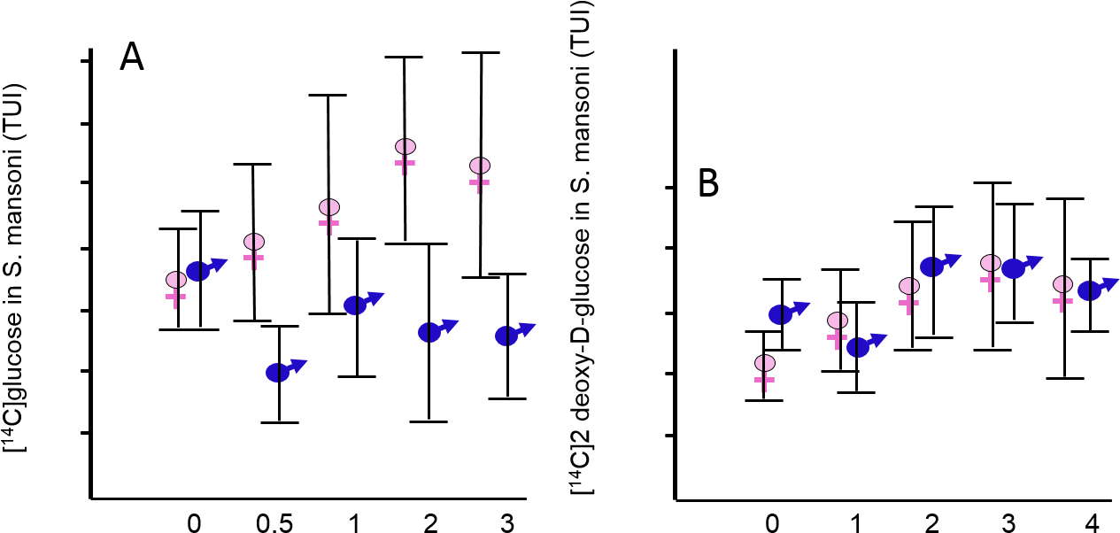 Induction By Double Stranded Rna - Double Bar Graph (1297x649), Png Download