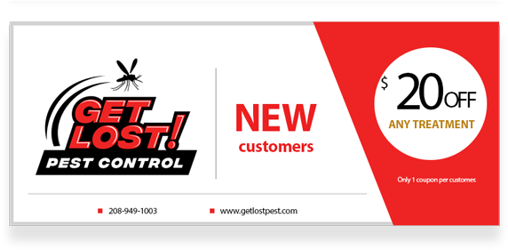 Coupons - New Catalog (650x287), Png Download