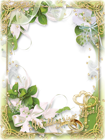 Los Anillos De Boda Aman - Transparent Photo Frames Png Hd (335x448), Png Download