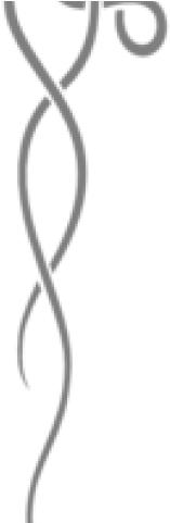 Fancy Corner Cliparts - Clip Art (640x480), Png Download