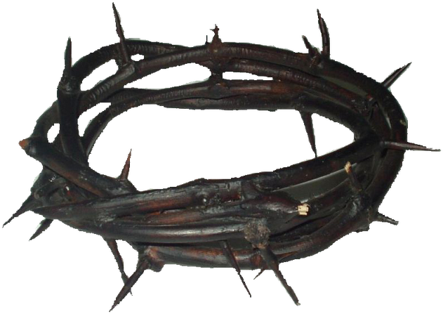 Teneis Una Colección De Fotos Para Que Os Hagais Una - Corona De Espinas De Cristo (640x450), Png Download