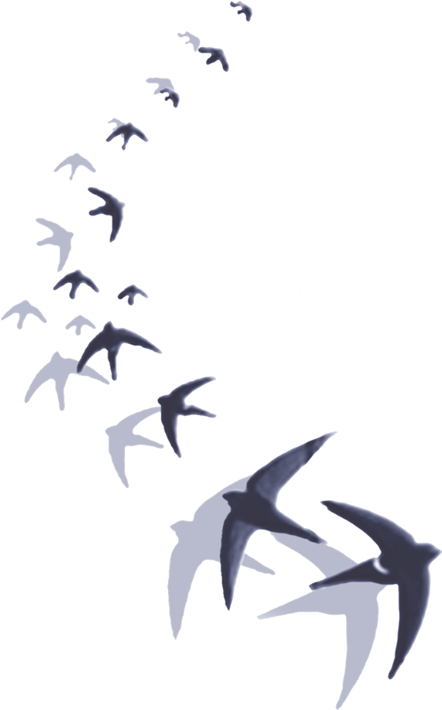 A Cualquier Persona Que Le Preguntemos Sobre La Divinidad - T-shirt (1026x1600), Png Download