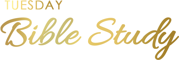 Berean Christian Academy - Stella And Dot Giveaway (702x241), Png Download