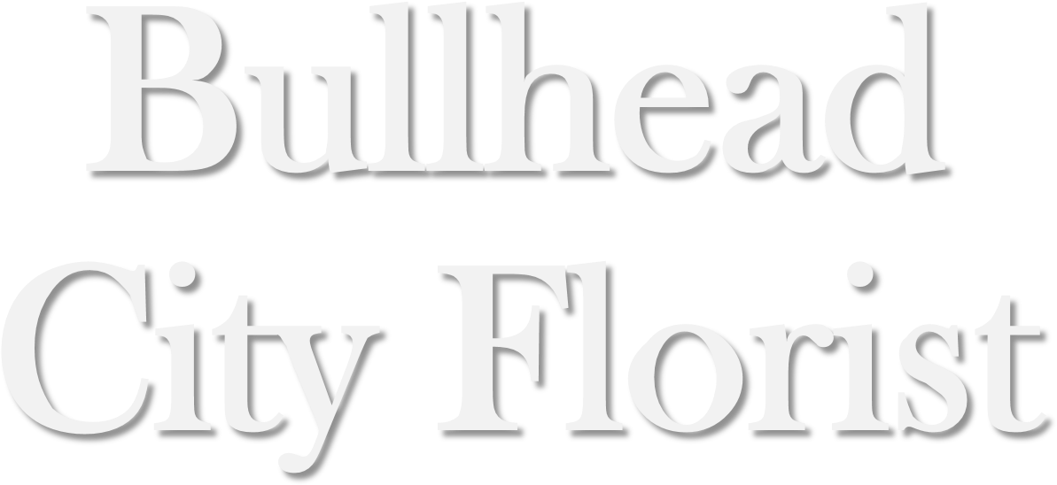 Stadium Australia (1522x880), Png Download