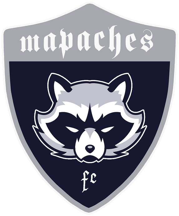 Shields, Raccoons, Football, Coat Of Arms - Raccoon (643x720), Png Download