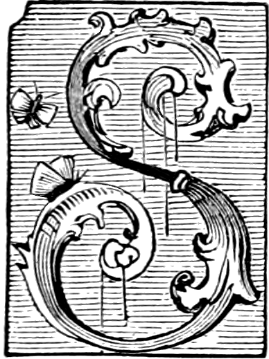 Art Design And The Public Domain Stylized Pattern Stock - Butterfly Letter: A Tale About Life After Life (388x519), Png Download