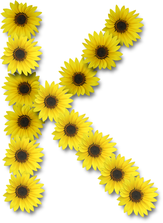 Alfabeto Florido Girassol Png - Letras De Girassol Png (553x754), Png Download