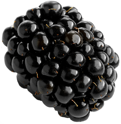 Blackberry Png Picture (406x417), Png Download