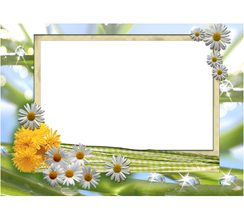 Conniff, Ray - Love Songs (cd) (500x450), Png Download