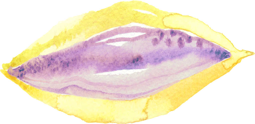 Png Decorativo De Labios Transparente Púrpura Y Hojas - Watercolor Painting (1024x499), Png Download