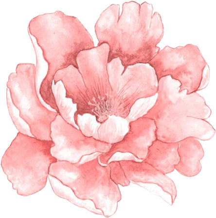 Free Watercolour Flower Png (799x480), Png Download