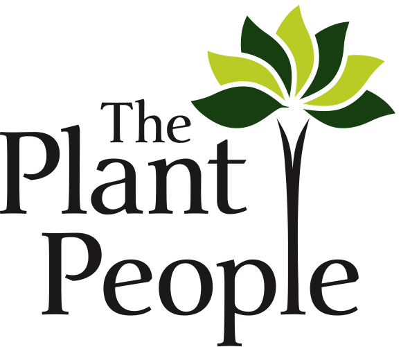 Outcome Focused (579x500), Png Download