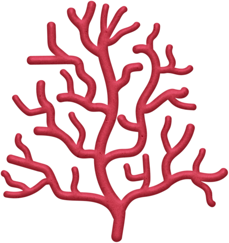 Coral Clipart Png - Cartoon Sea Coral Png (472x500), Png Download