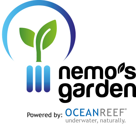 Growing Herbs And Vegetables Under The Sea (437x400), Png Download