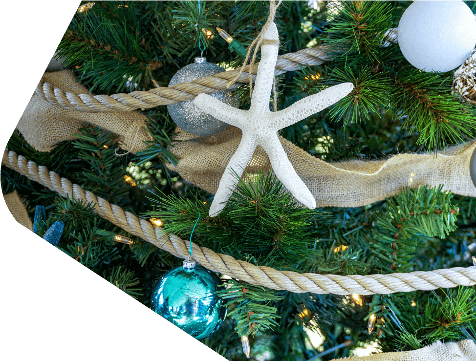 Conoce Más - Christmas Ornament (1000x738), Png Download