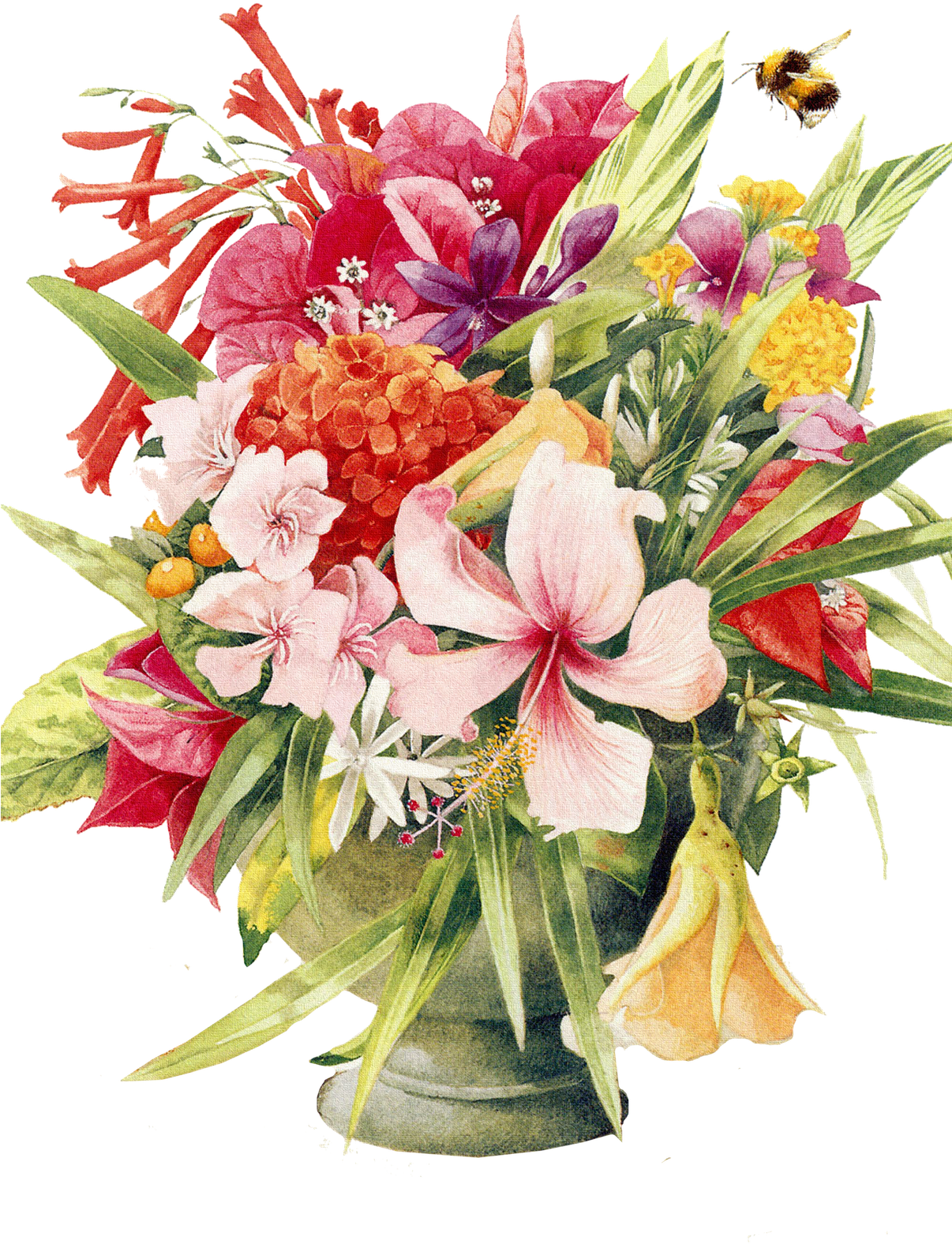 Download Flores Para Alegrar El Lunes PNG Image with No Background - Download Flores Para Alegrar El Lunes PNG Image with No Background -