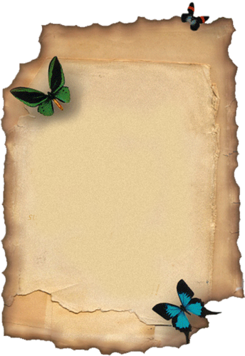 Mariposas De Papel, Etiquetas Para Imprimir, Libros - Bordes De Hojas De Papel (344x500), Png Download
