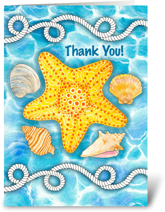 Thank You For A Lovely Time Greeting Card - Nautical Rope, Sea Shells And Starfish Thank You Card (700x792), Png Download