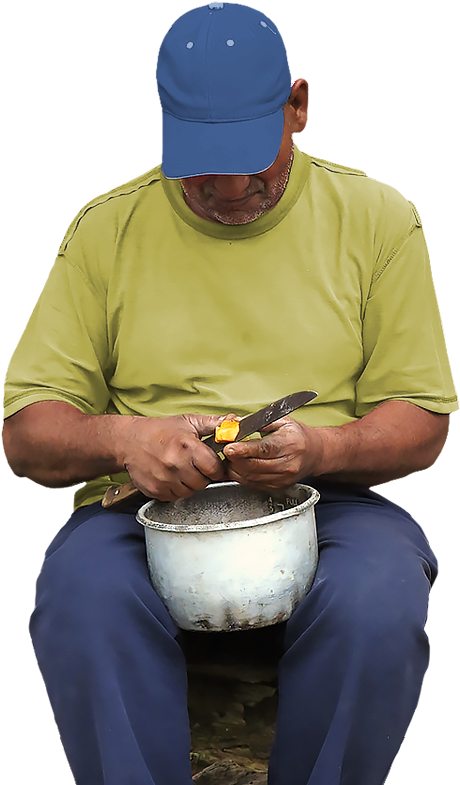 Borda Header Figure Cutting-fruit - Fruit (685x785), Png Download