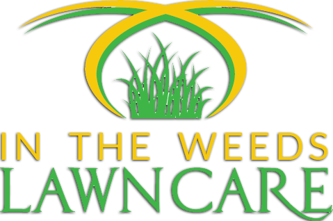 Follow - Lawyer (479x318), Png Download