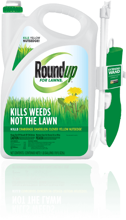 Roundup For Lawns • Weed Killer - Roundup For Lawns Rtu Wand Northern 1.33 Gallon (431x760), Png Download