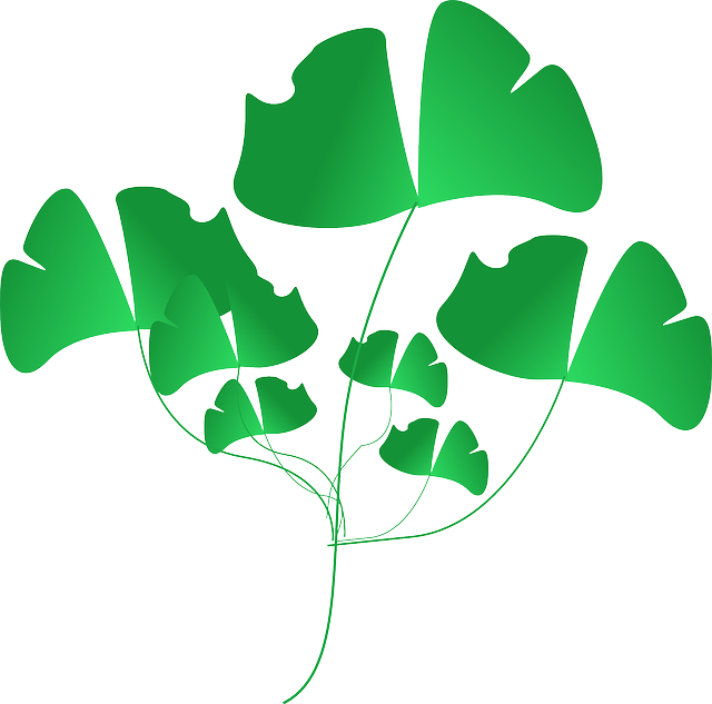 Plant, Green, Leaves, Nature, Weeds - Clip Art (640x633), Png Download
