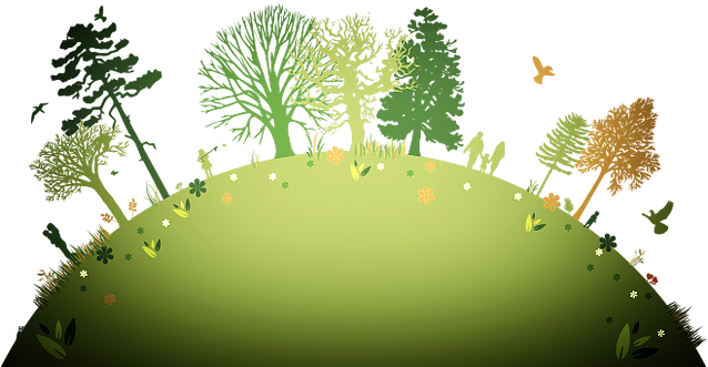 The Best Strategies For Controlling Weeds In The Home - Plant A Tree Background - Free