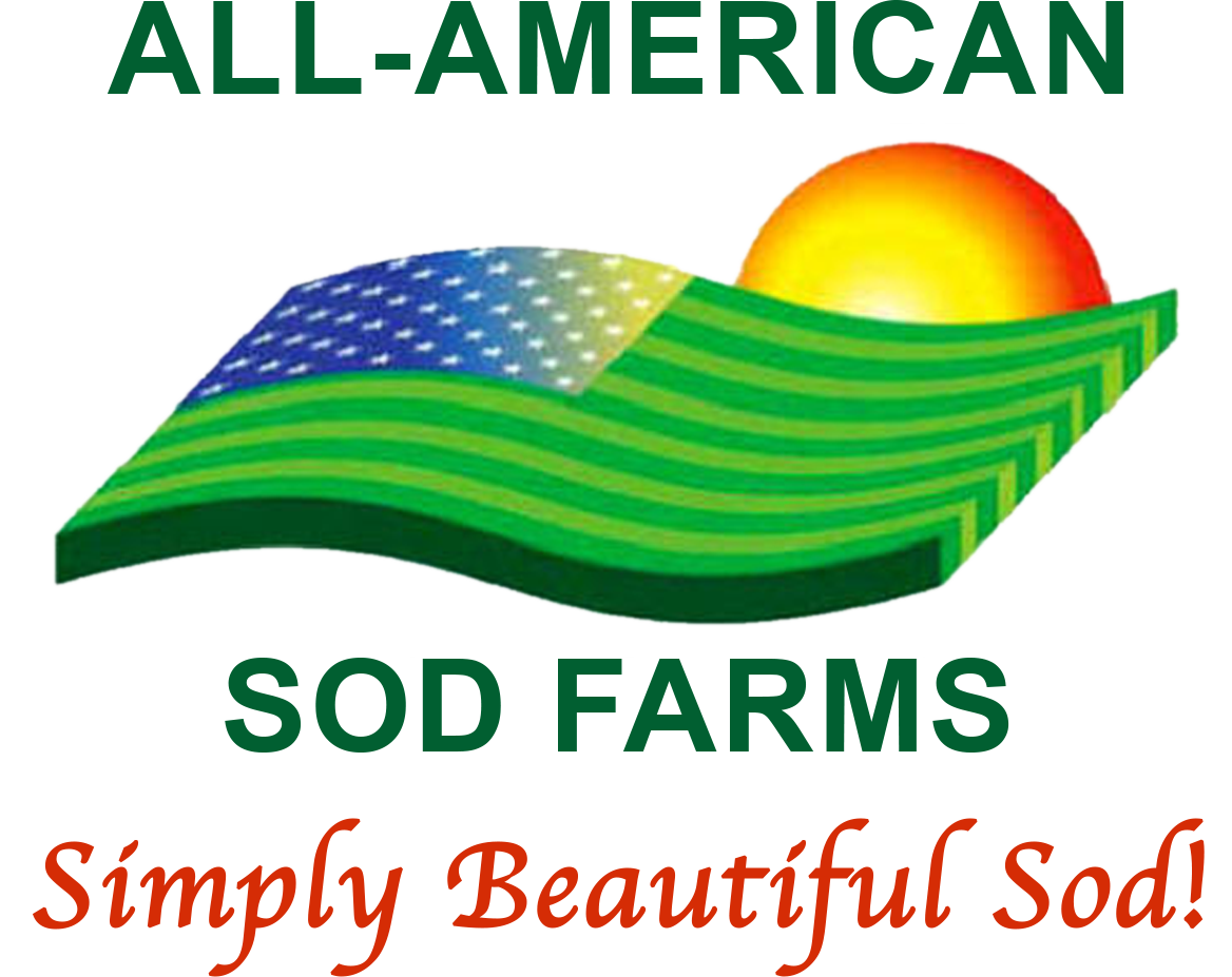 Broad Leaf Weeds Logo Transparent All American - Tropical Cyclone (1168x927), Png Download