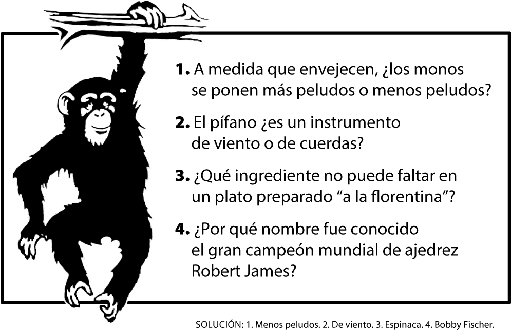 Preguntas De Mente - Home Decor Monkey Removable Wall (1024x672), Png Download