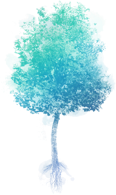 Árvore 1 Árvore 2 Árvore 3 - Tree (619x822), Png Download