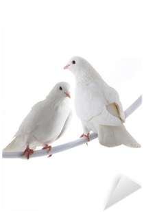 White (400x400), Png Download