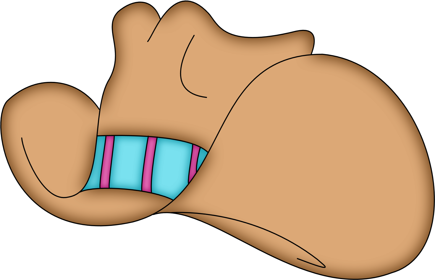 Sombrero Transparent Background Download - Sombrero De Vaquera Png (1568x1044), Png Download