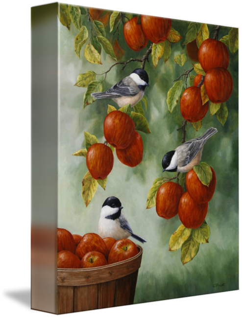 "apple Harvest Chickadees" By Crista Forest, Seattle - Crista Forest - Apple Harvest Chickadees Canvas (494x650), Png Download