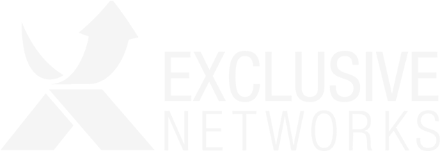 Exclusive Group - Exclusive Networks Logo (1024x228), Png Download