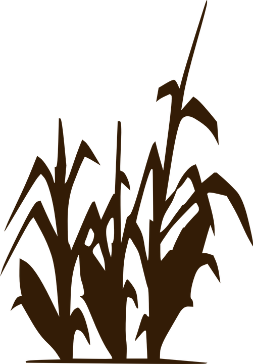 Harvest Clipart Harvest Crop - Limitless Horizons Ixil (501x720), Png Download