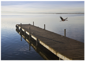 Wood (400x400), Png Download