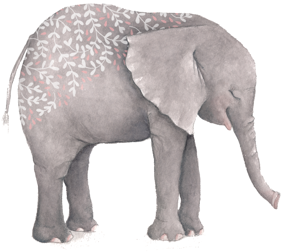 Hand Drawn Elephant Hd Png - Journal Notebook For For Animal Lovers Baby Elephant (1024x1024), Png Download