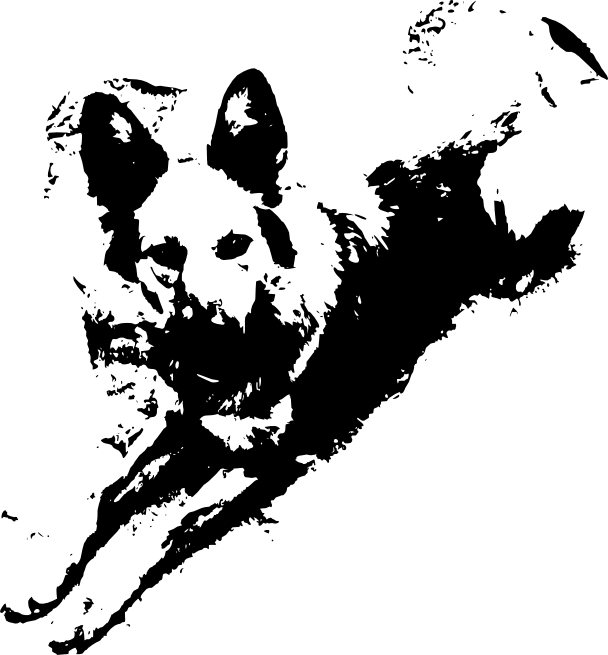 Mi Perra Yeñé Vectorizada Según El Primer Seteo - Manchas De Pintura Negra (608x655), Png Download