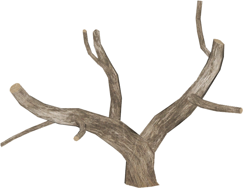 Dead Tree Log 4 - Tree (788x788), Png Download