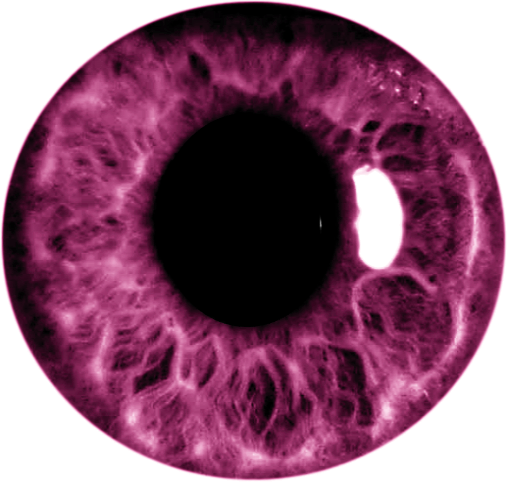 Lentes De Contato Png - Lentes De Contato Para Photoscape (507x482), Png Download